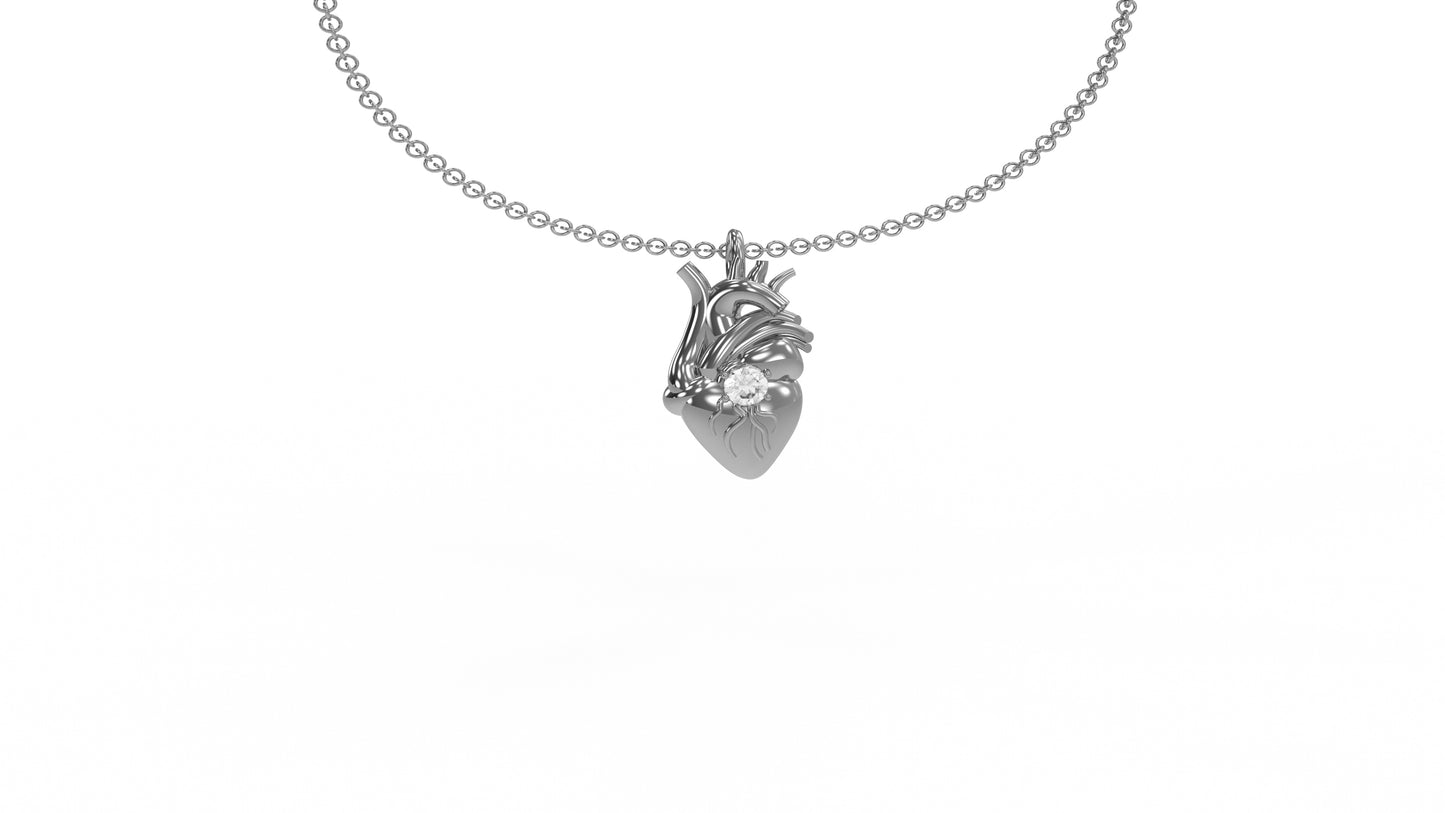 Anatomical heart