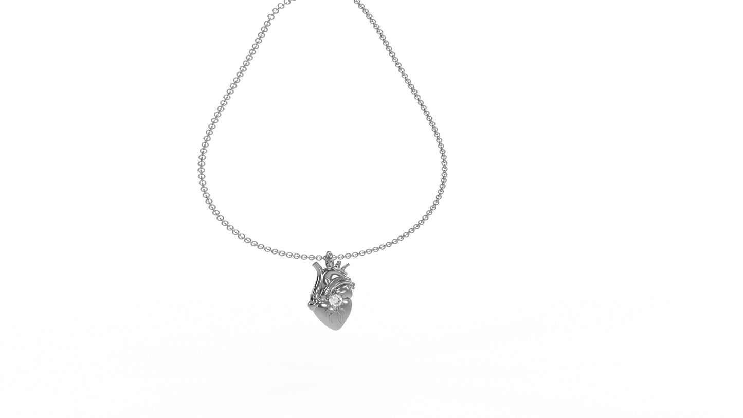 Anatomical heart