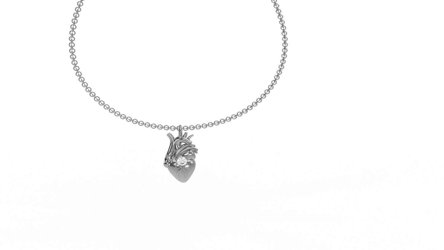 Cuore anatomico XL