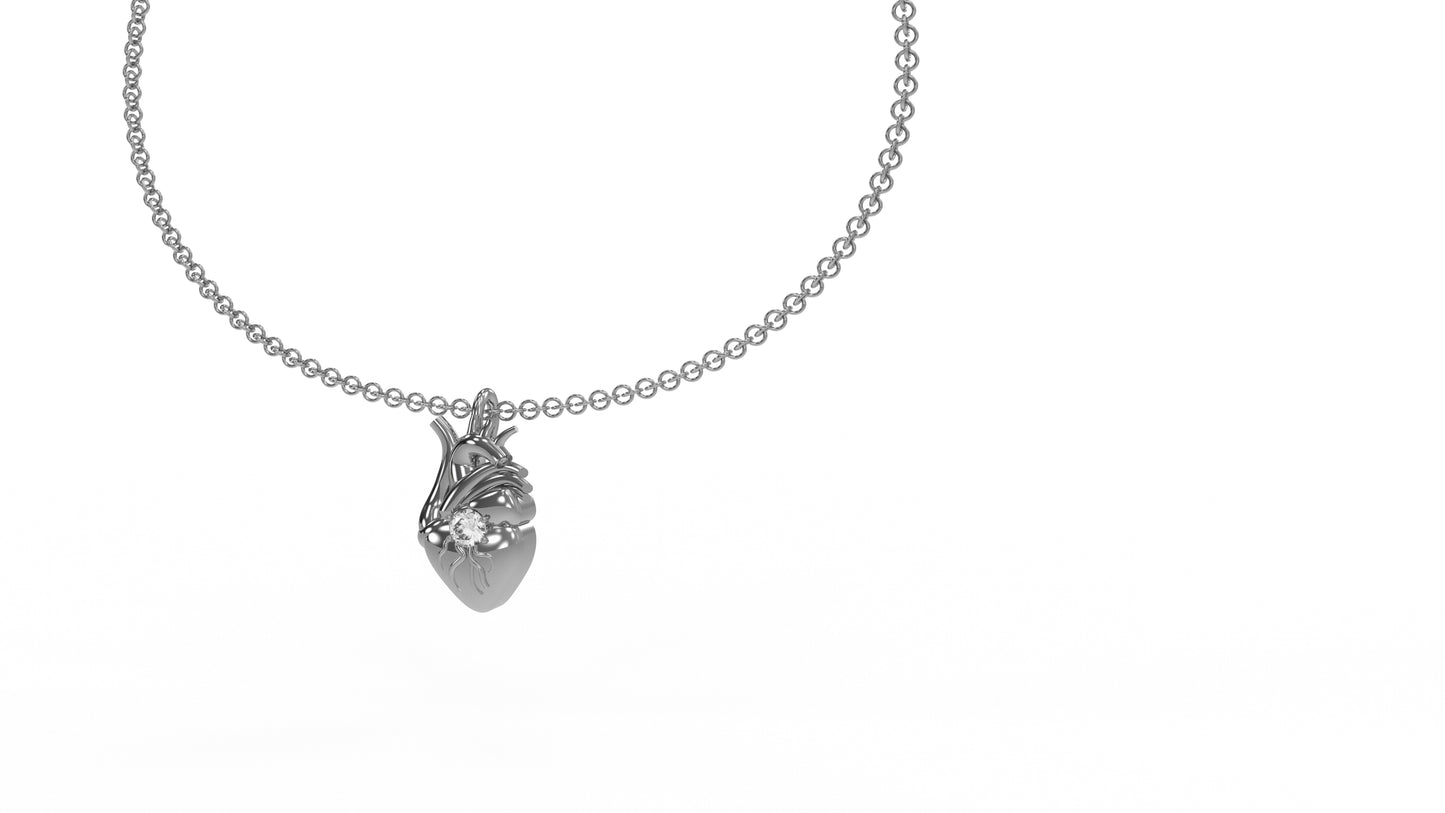 Cuore anatomico XL