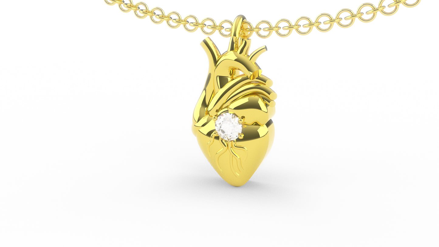 Cuore anatomico XL