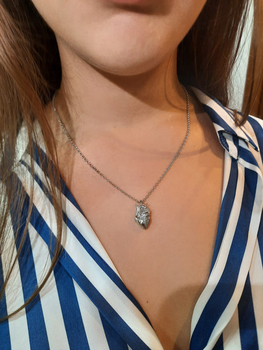 Anatomical heart XL