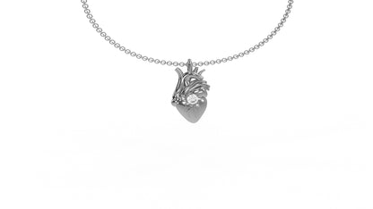 Anatomical heart