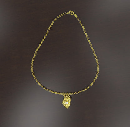 Cuore anatomico XL